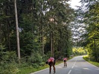 PXL 20240810 163512433