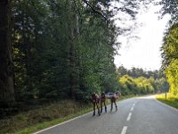 PXL 20240810 163625482