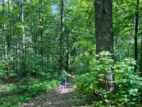 ce62c7c2-cafe-40f0-8705-9667f25eb506