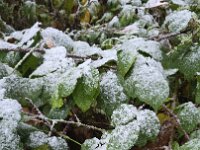 ae290397-d071-4678-964a-e52cbc474431