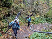 446070ca-7e7c-42c6-8dc6-fe49486eff3a