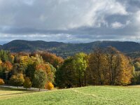 1d9b291c-4a5d-4609-ac81-4b2475f0f9b0