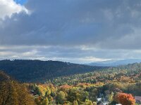 6d4a1797-ff61-490a-85e5-6588add0760d