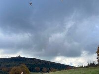 7798850d-4677-4dc3-ad58-ad8cc9c2b748