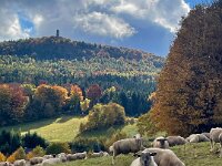 8f5aecd6-7816-4364-9b33-3557b9612f21