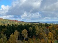 bccdd0f8-5816-4203-9e38-b6dacd52adcc