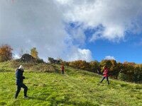 f6e61991-e311-4166-a370-1fd33f04f082