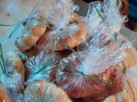 PHOTO-2025-04-20-12-28-48-3