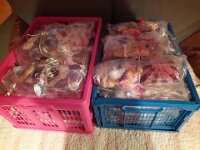 PHOTO-2025-04-20-12-28-49-1