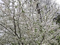 PHOTO-2025-04-20-12-29-40