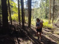 96351eba-3acd-4573-862a-c416734cfb54