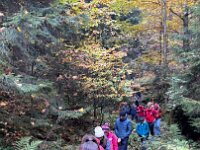 09c78766-0c2c-48e6-b5dc-f04278475089