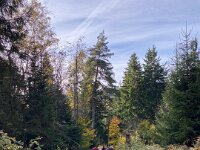 19997a13-378e-4adf-9df4-ae253886706d