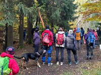 3daae338-8e27-412a-8711-516b7ef4dc91