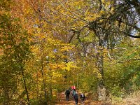 3f723bbf-38a7-4074-bf60-658fd955adff(1)