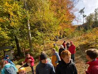 4e2bf3fa-6755-4dc3-9333-2b7d5ce9fcc2