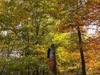 76f69170-772c-426d-b4c6-a288dbd9e2d8