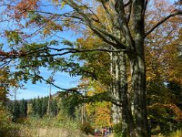 ebc3aee4-6d38-446e-8cdc-23c19b1ff2ae