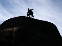 IMG 4670