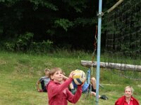 IMG 4553