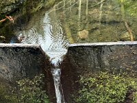 7b31e660-9fbf-4a96-b6b9-52816a773d99