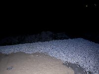 IMG 1574